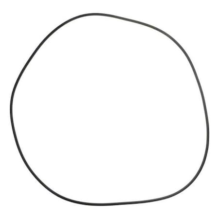 Whole-In-One Swimquip 24 in. Tank O-Ring WH196457